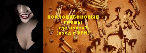 мдпв Арсеньев