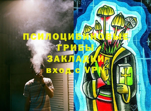 мдпв Арсеньев
