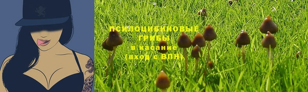 спайс Алексеевка