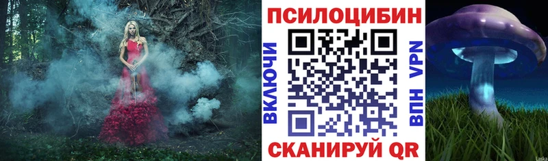 Галлюциногенные грибы Magic Shrooms  закладка  Магадан 